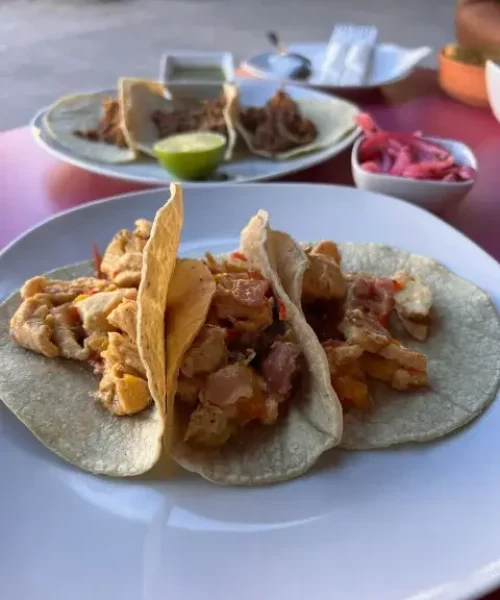 bar tacos palma de mallorca